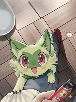 There’s Something Wrong with My Pokémon