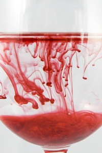 Malefic Bloodsmith (Apocalypse LitRPG+Crafting+Villain MC)