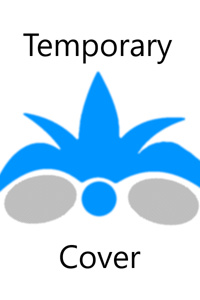 Reflections of the Empire