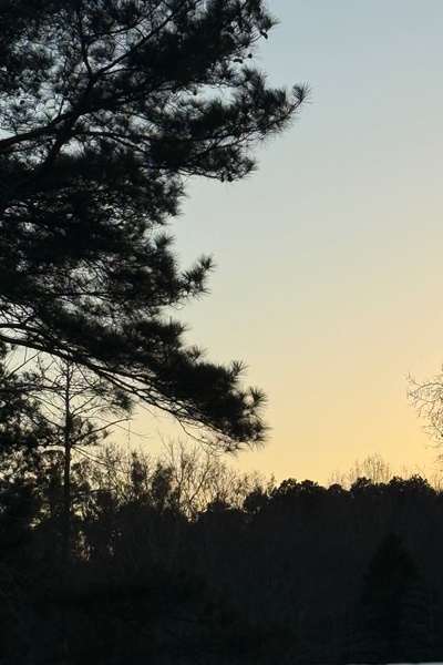 A Flicker in the Dark