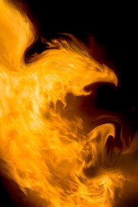 A Fiery VRMMORPG adventure