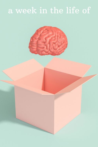 A week in the life of